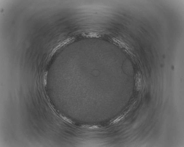 X0000085040747200703121433