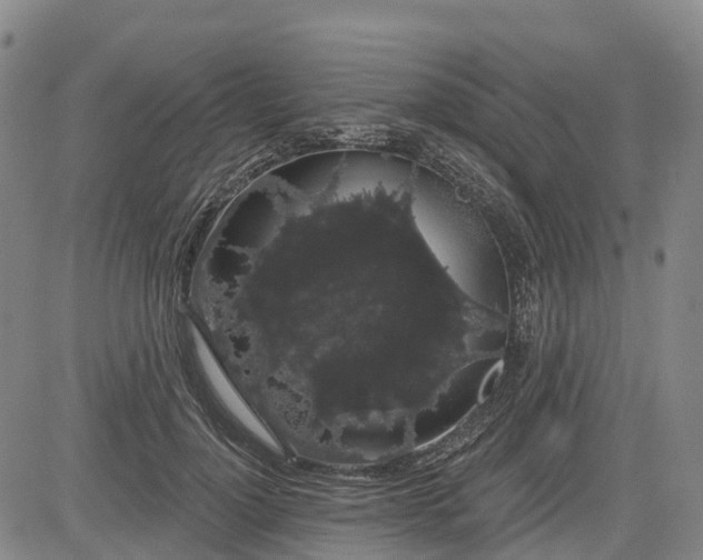 X0000085040748200703121433