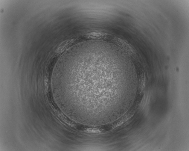 X0000085040749200703121433