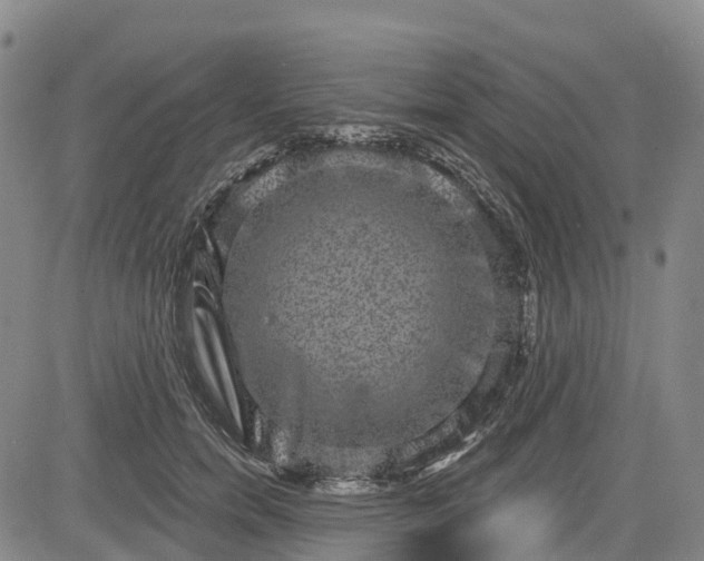 X0000085040750200703121433