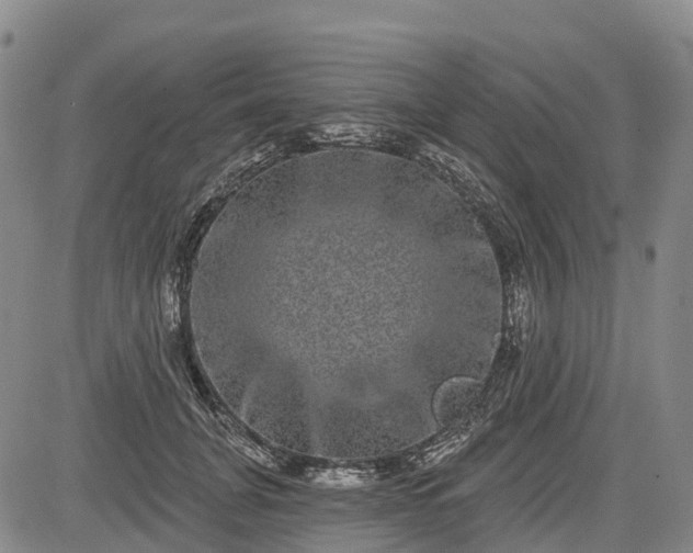 X0000085040751200703121433