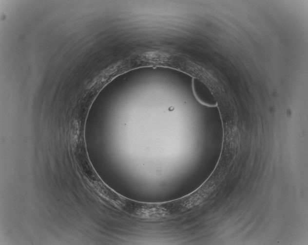 X0000085040752200703121433