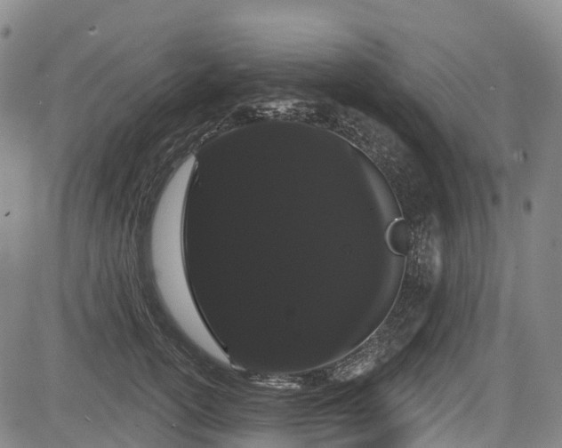 X0000085040754200703121433