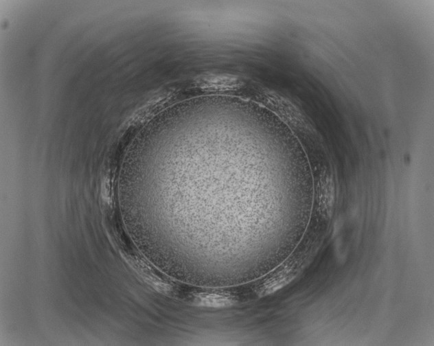 X0000085040755200703121433