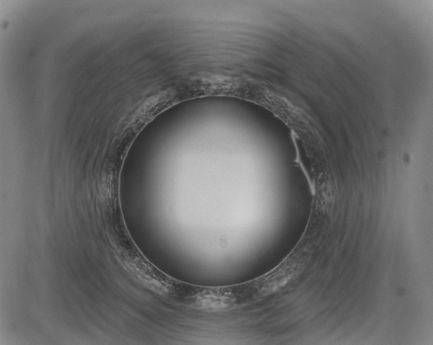 X0000085040756200703121433