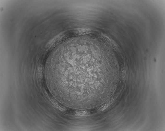 X0000085040757200703121433