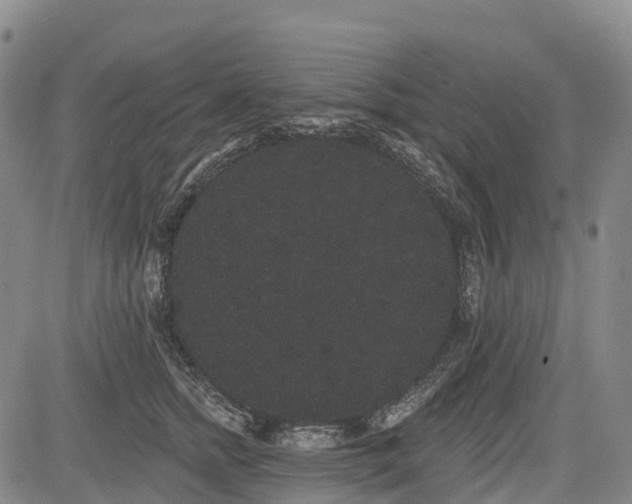 X0000085040758200703121433