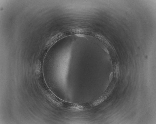 X0000085040760200703121433