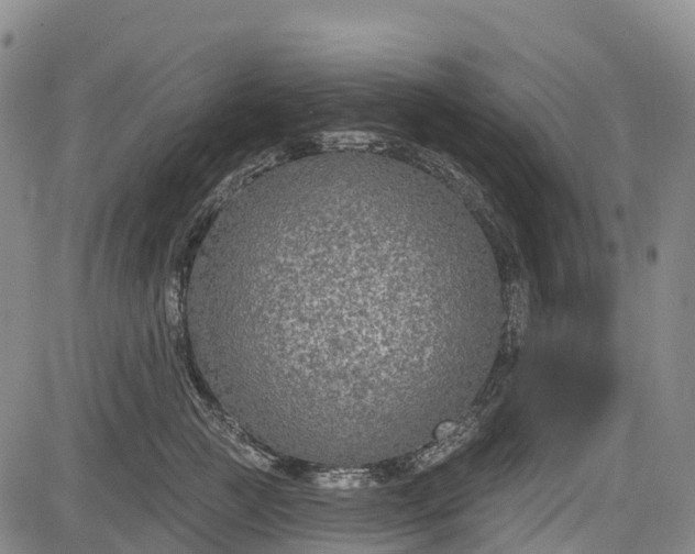 X0000085040761200703121433