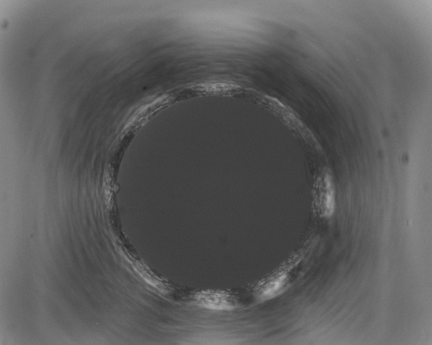 X0000085040762200703121433