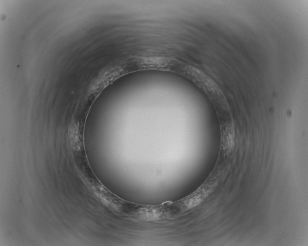 X0000085040764200703121433