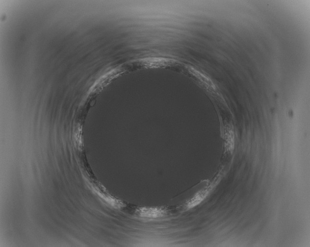 X0000085040766200703121433