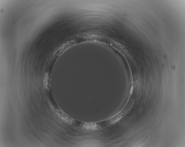 X0000085040767200703121433