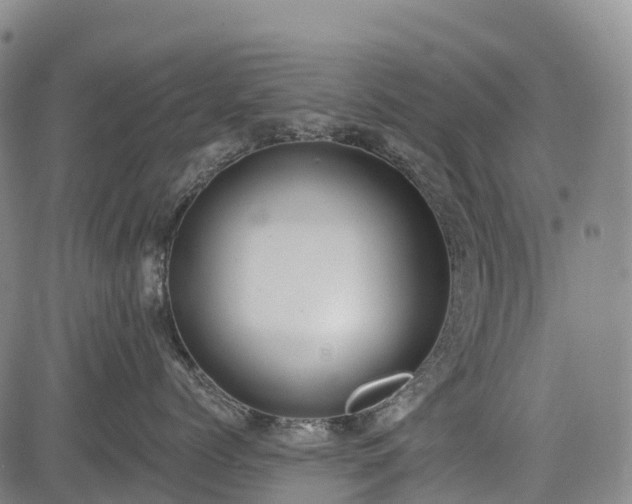 X0000085040768200703121433