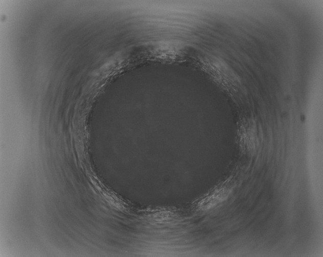 X0000085040769200703121432