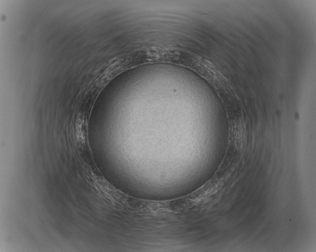 X0000085040770200703121432