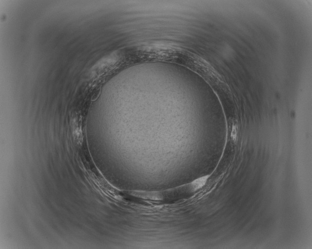 X0000085040771200703121432