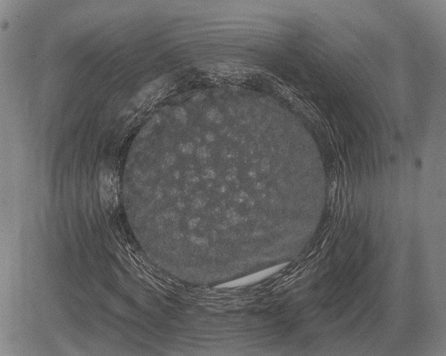 X0000085040772200703121432