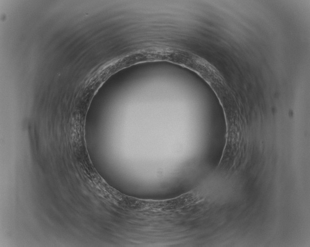 X0000085040773200703121432