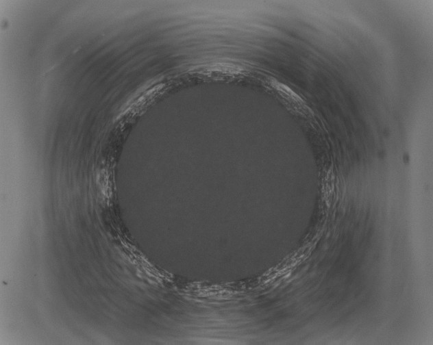 X0000085040774200703121432