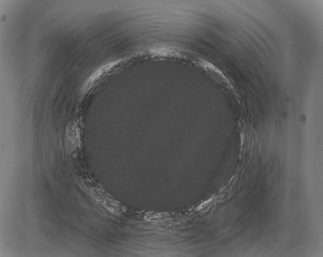 X0000085040776200703121432