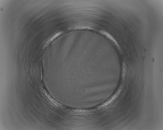 X0000085040777200703121432