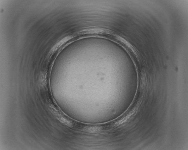 X0000085040778200703121432