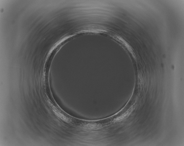 X0000085040779200703121432