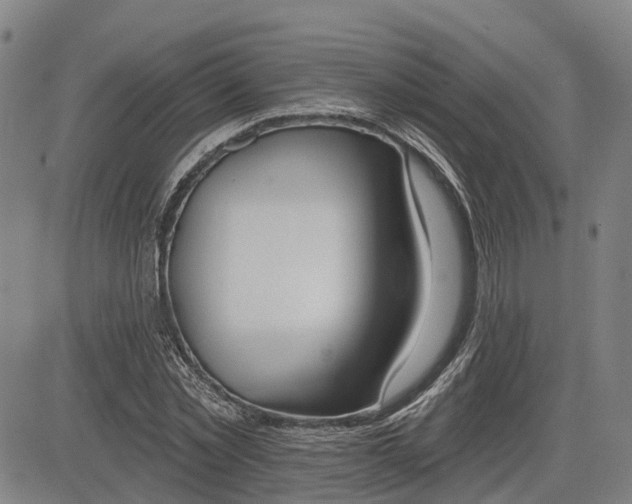 X0000085040781200703121432