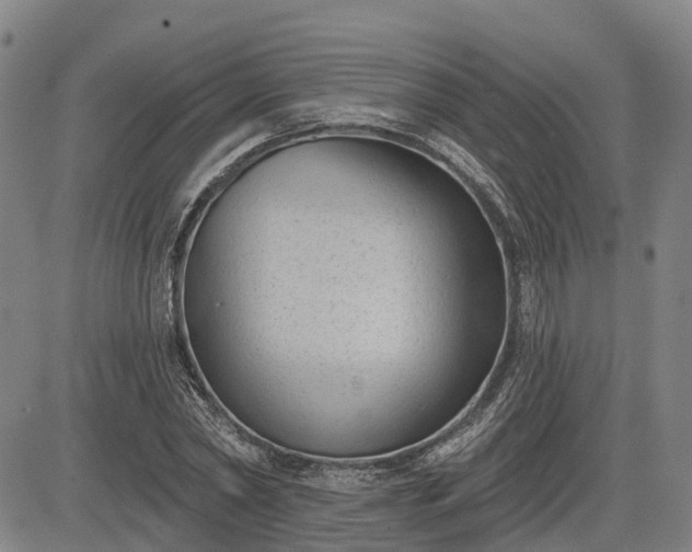 X0000085040782200703121432