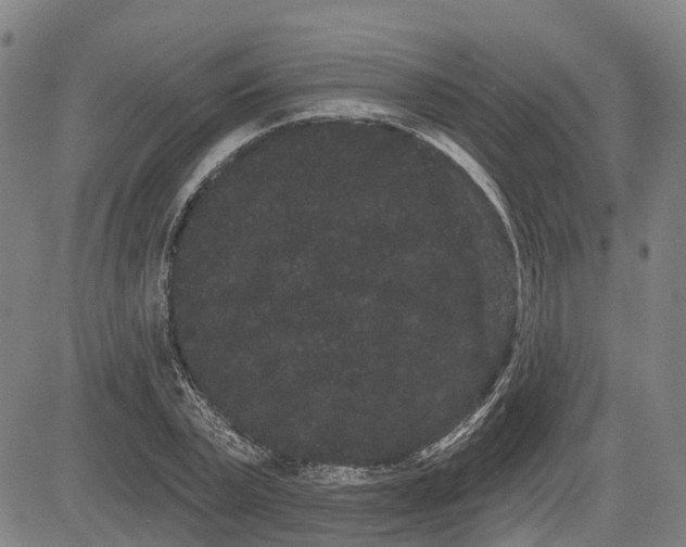 X0000085040783200703121432