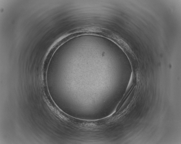 X0000085040784200703121432