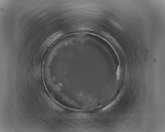 X0000085040785200703121432