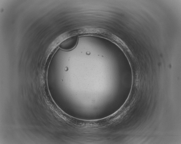 X0000085040786200703121432