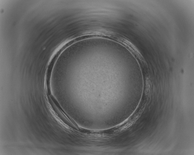 X0000085040788200703121432