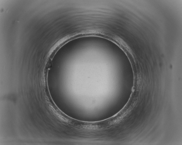 X0000085040789200703121432