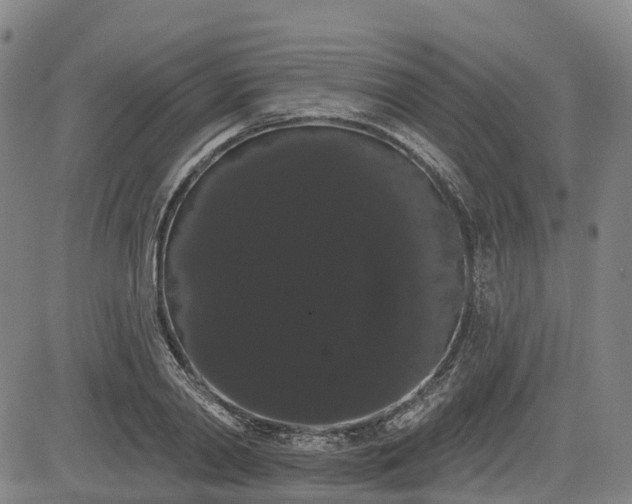 X0000085040790200703121432