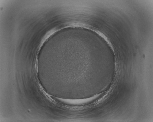 X0000085040791200703121432