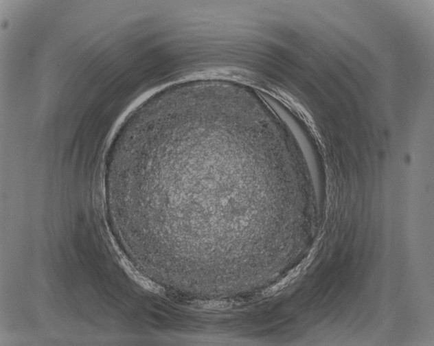 X0000085040792200703121432