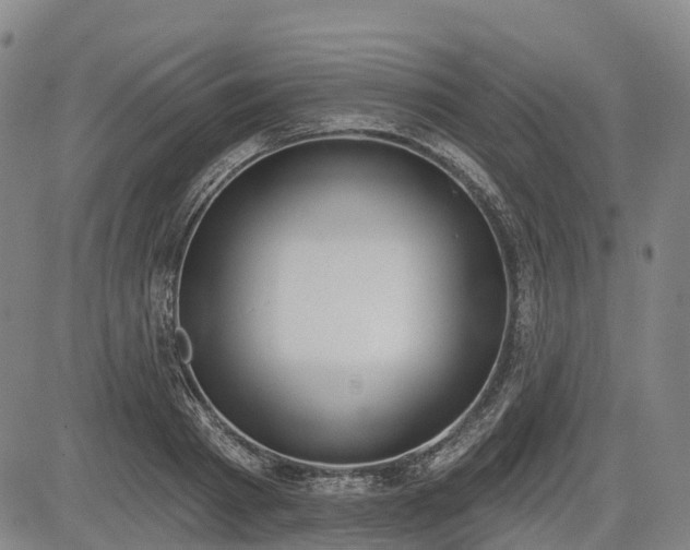 X0000085040793200703121432