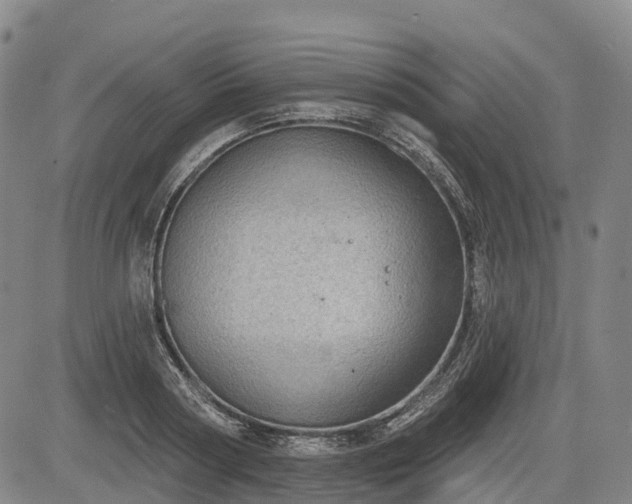 X0000085040794200703121432