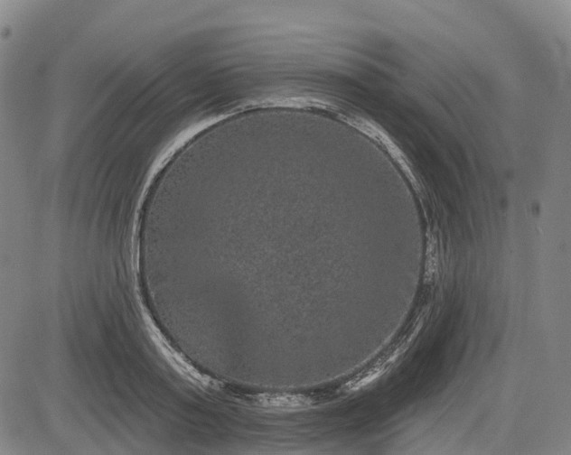 X0000085040795200703121432