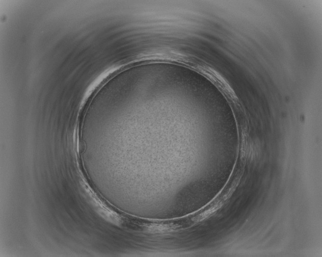 X0000085040796200703121432