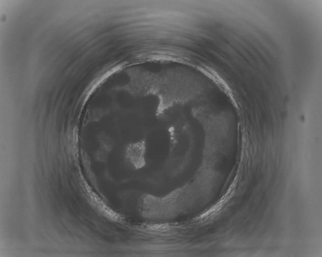 X0000085040798200703121432