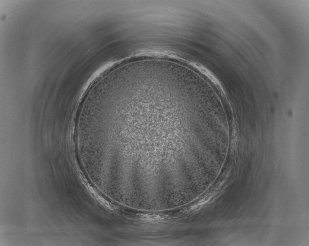 X0000085040799200703121432