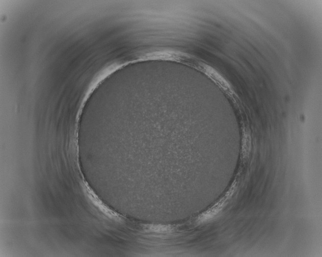 X0000085040800200703121432