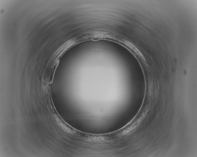 X0000085040801200703121432