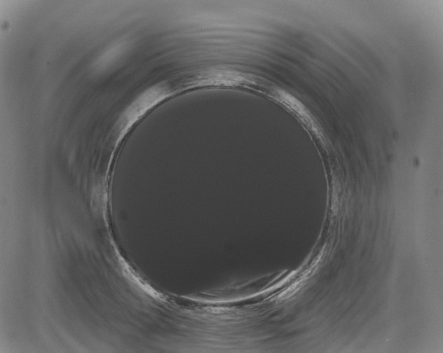 X0000085040802200703121432