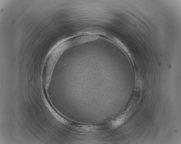 X0000085040803200703121432