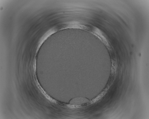 X0000085040804200703121432